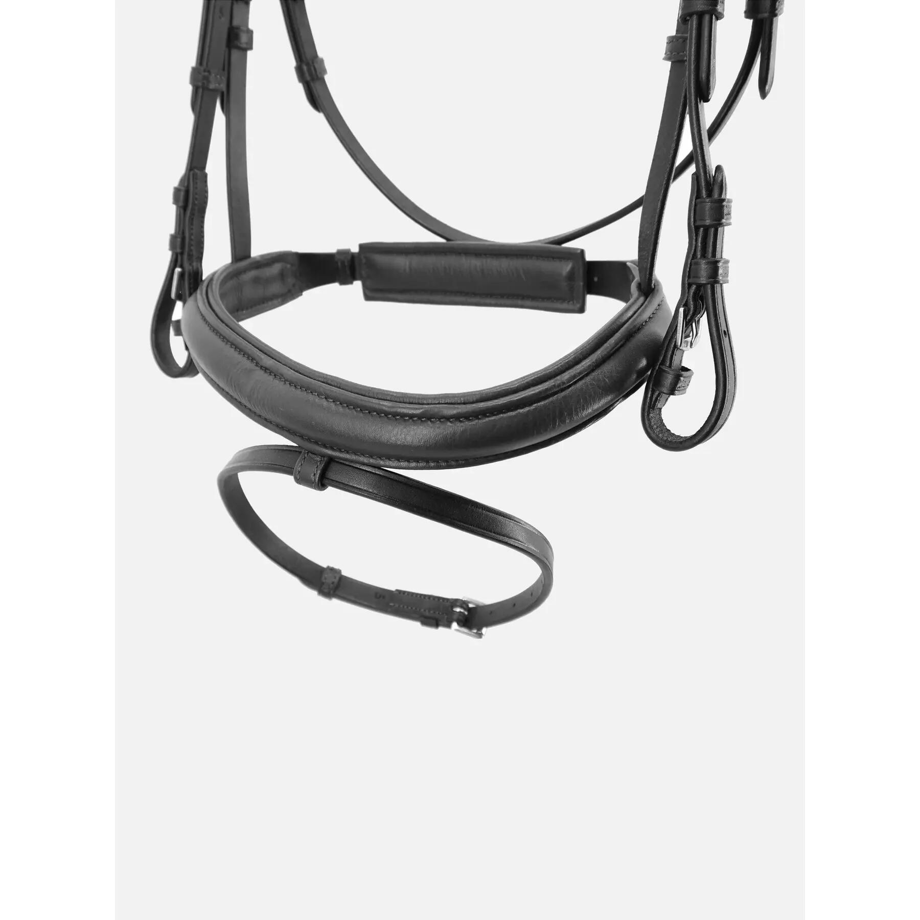 Briglia da equitazione Kieffer Ultrasoft Haflinger Curved Browband / Lined 3/4