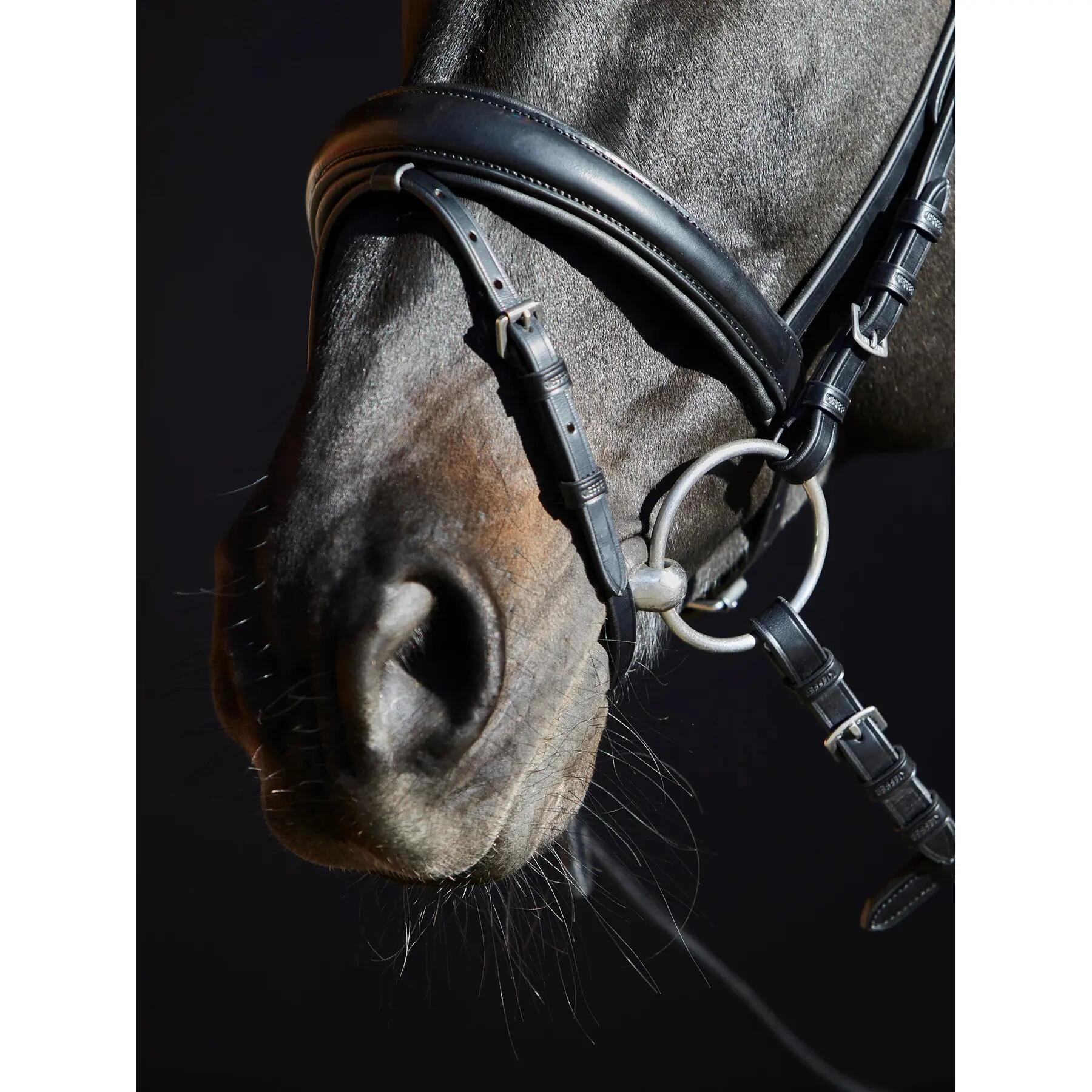 Bridon équitation Kieffer Priya browband with pink ultrashine crystals + pearls 4/5