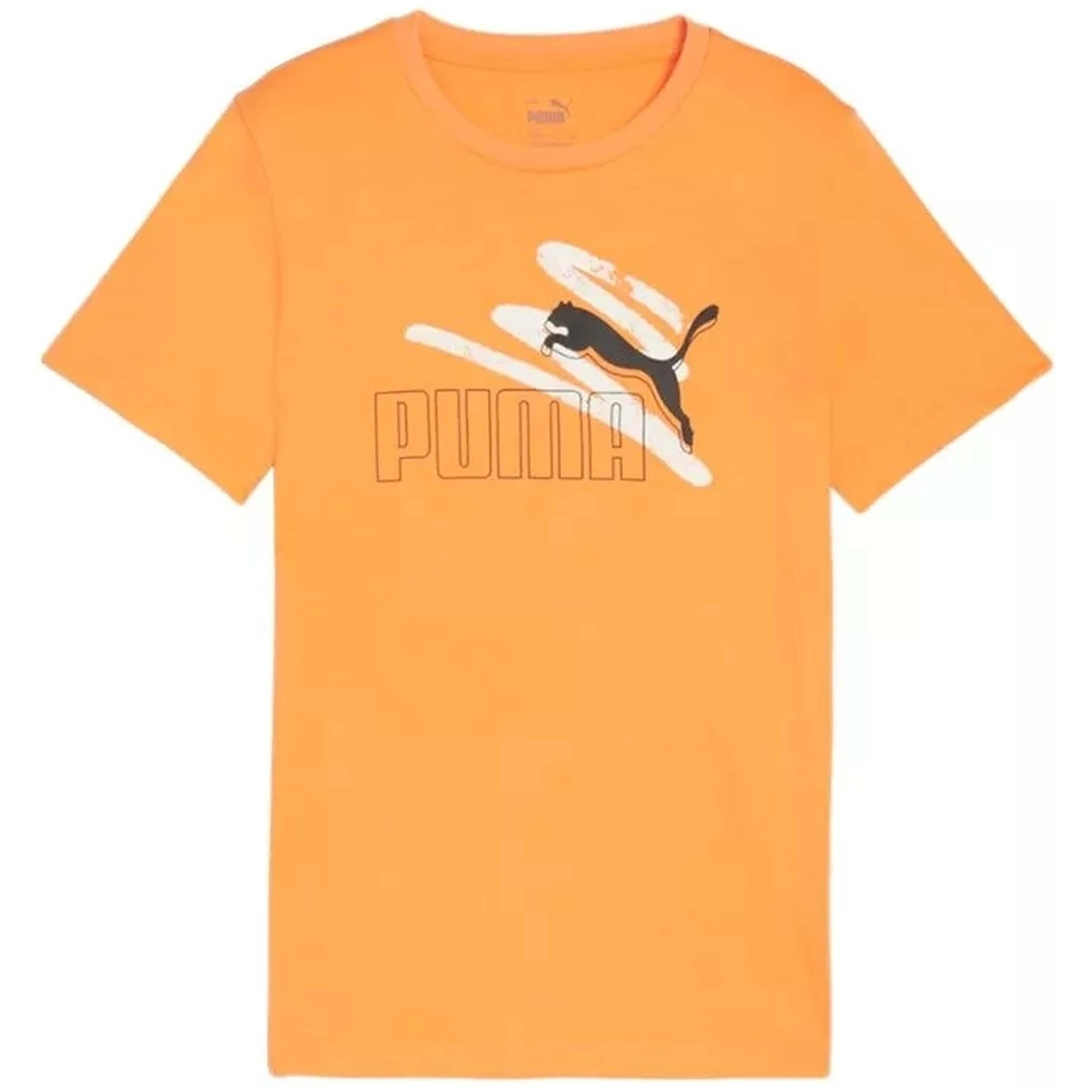 PUMA picture