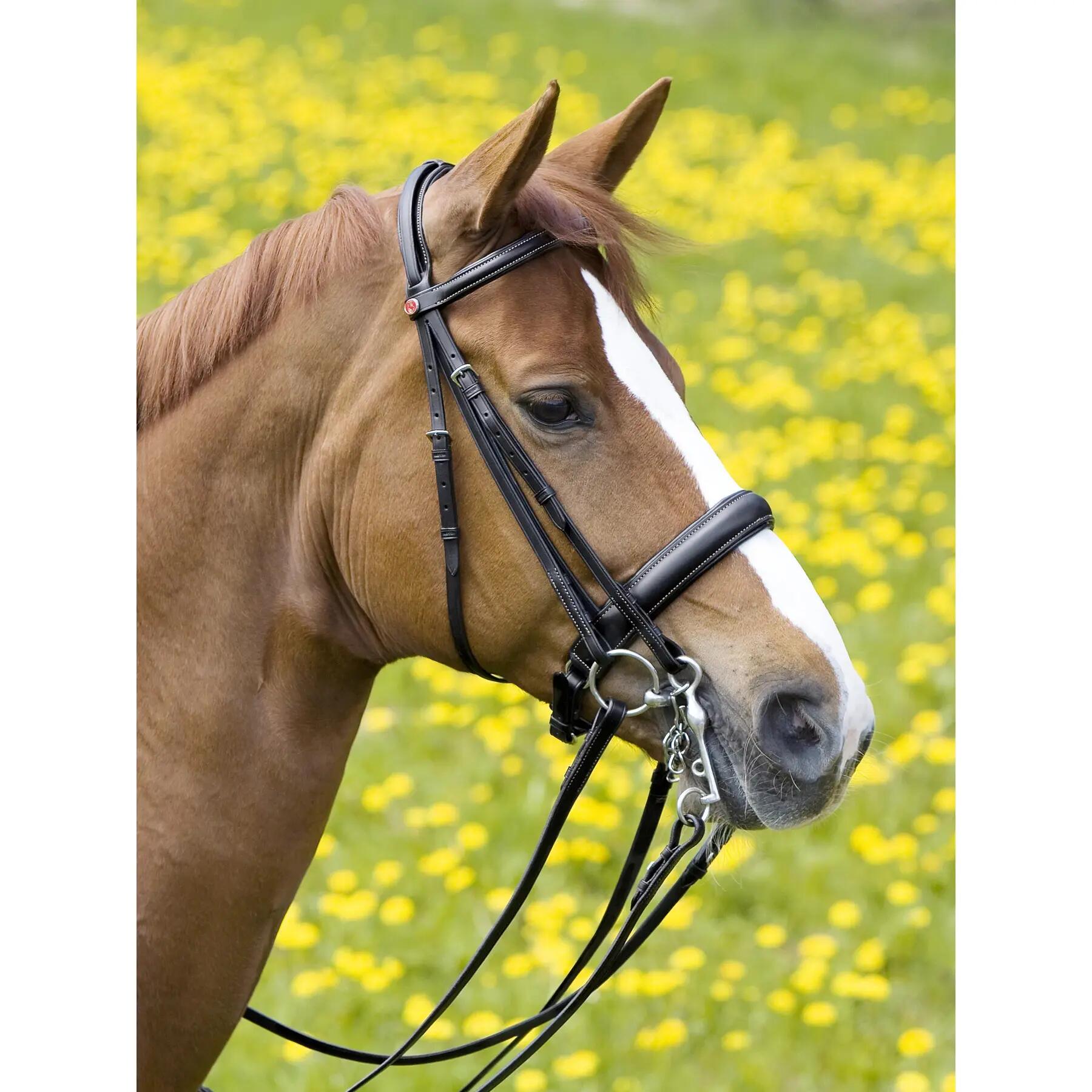 Bride équitation double Kieffer Ergonomic Line II 4/4