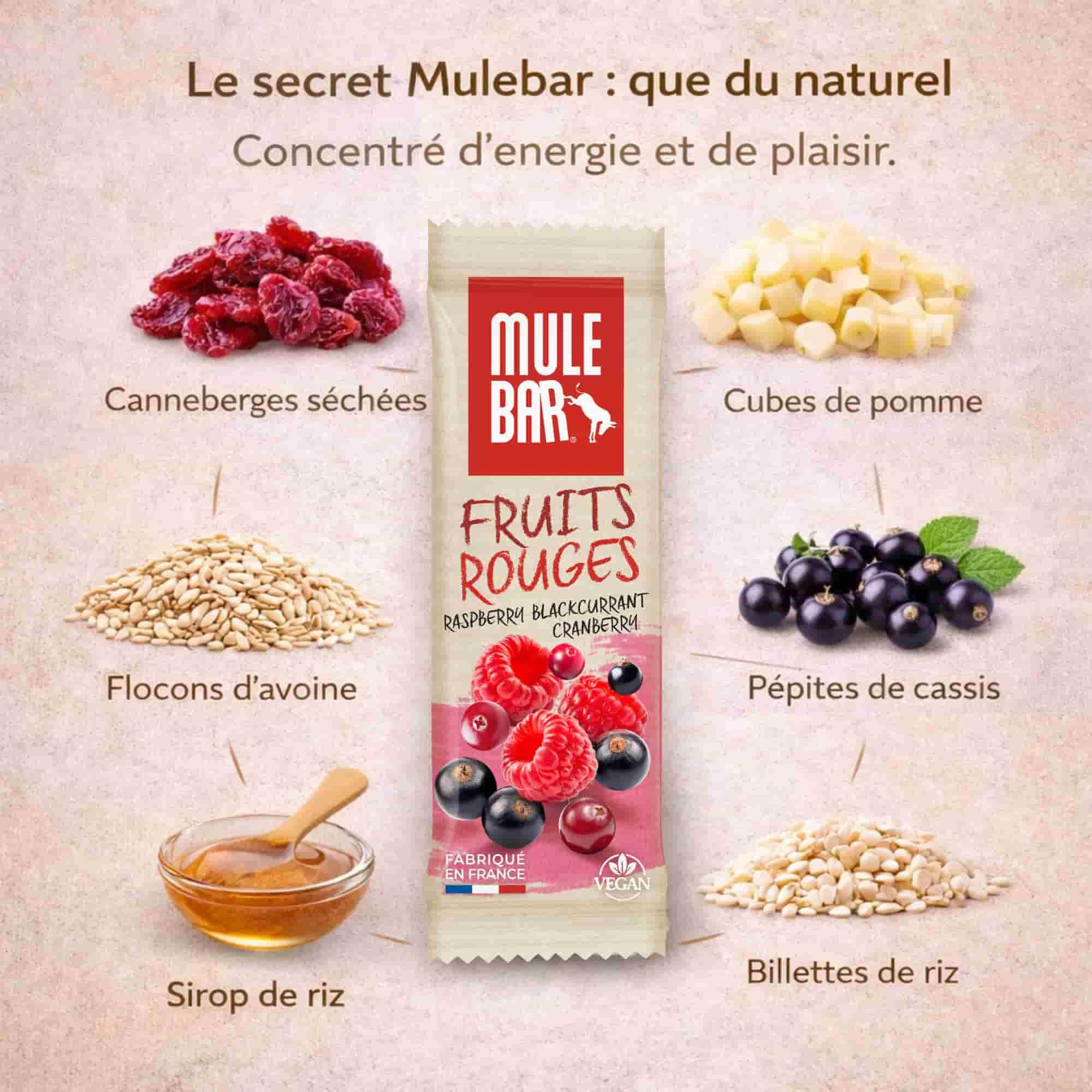 15 barres énergétiques aux céréales - vegan - 40g - Fruits rouges 3/7