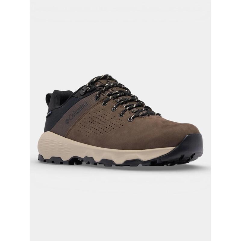 e35f50f2-c4e5-4e14-a465-702c995d95ed_c27c27