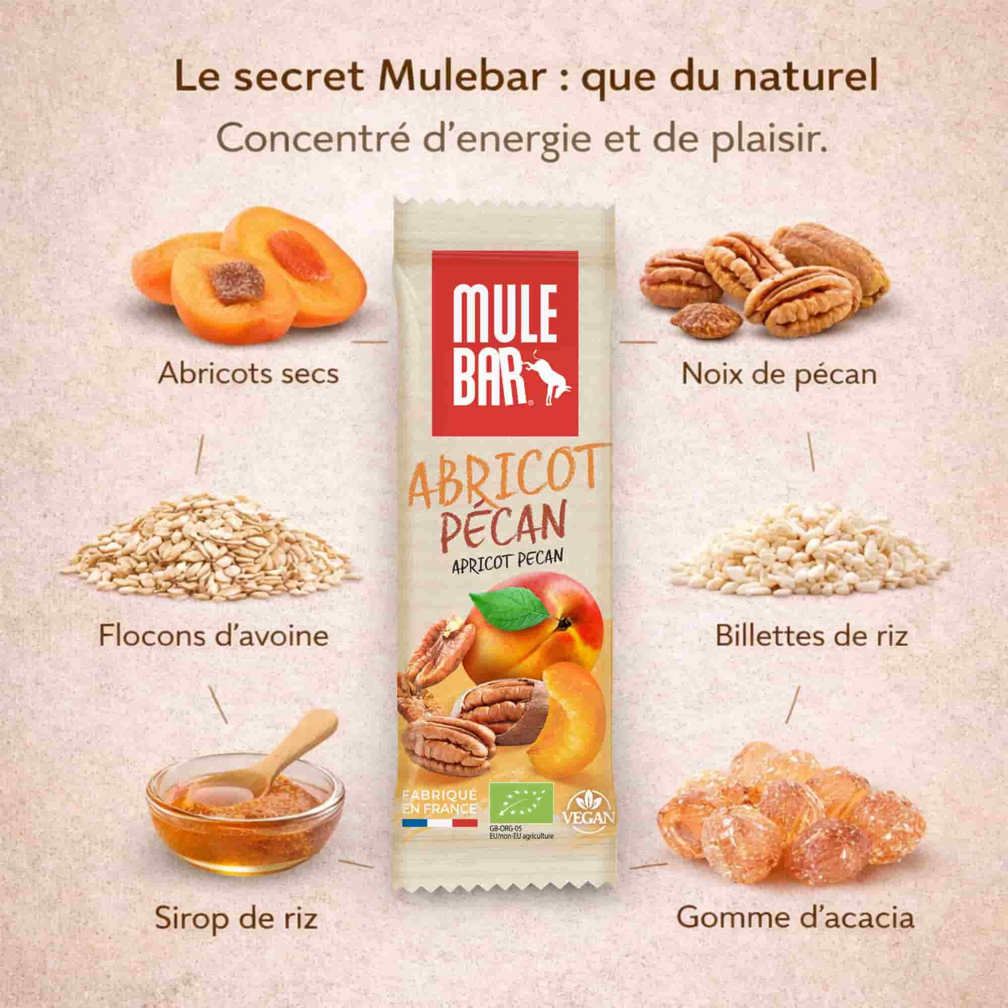 15 barres énergétiques céréales - bio - vegan - 40g - Abricot - Noix de Pécan 6/6