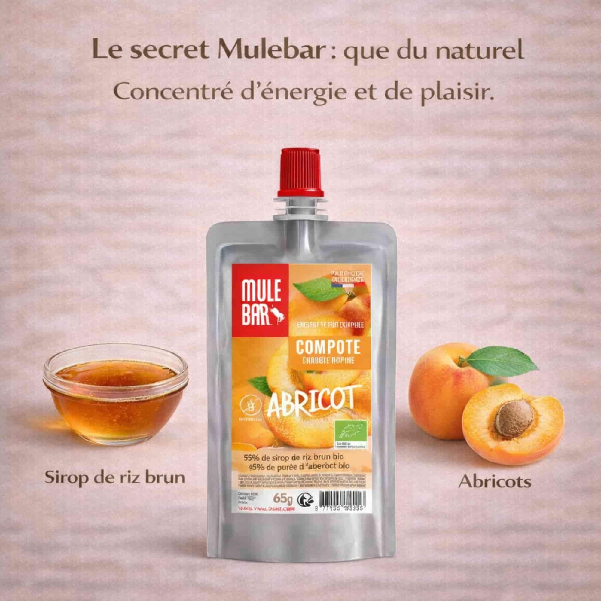 10 compotes énergétiques - bio - vegan - sans gluten - 65g - Abricot 3/7