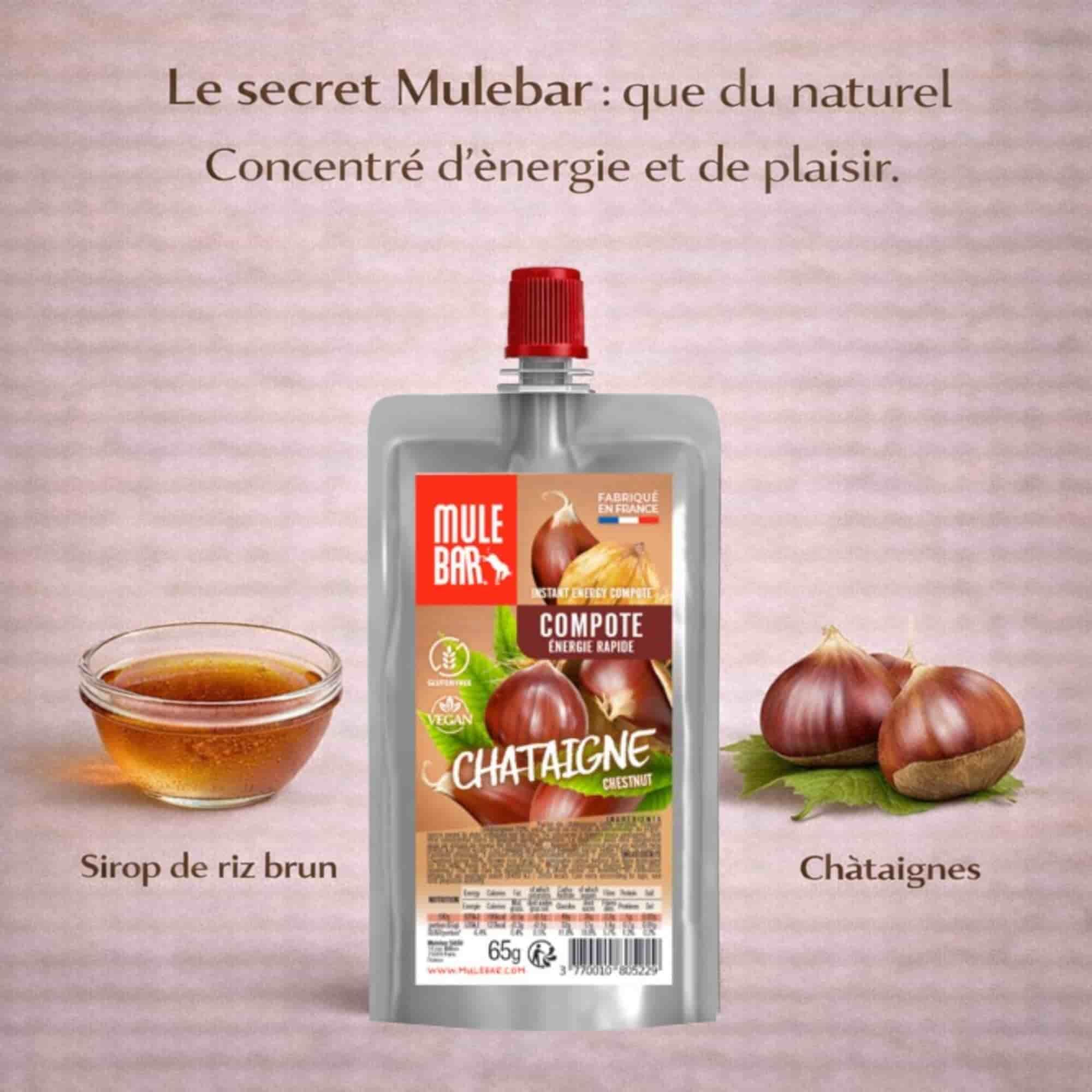 Compote énergétique - bio - vegan - 65g - Châtaigne 4/4