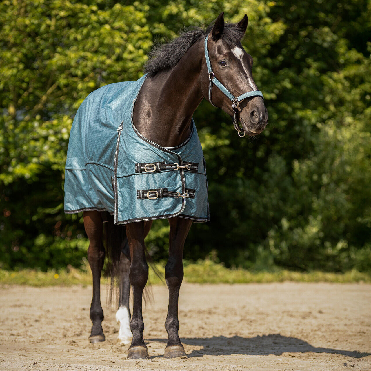 QHP Regendeken Turnout Collection 0gr - Palm Green 2/3