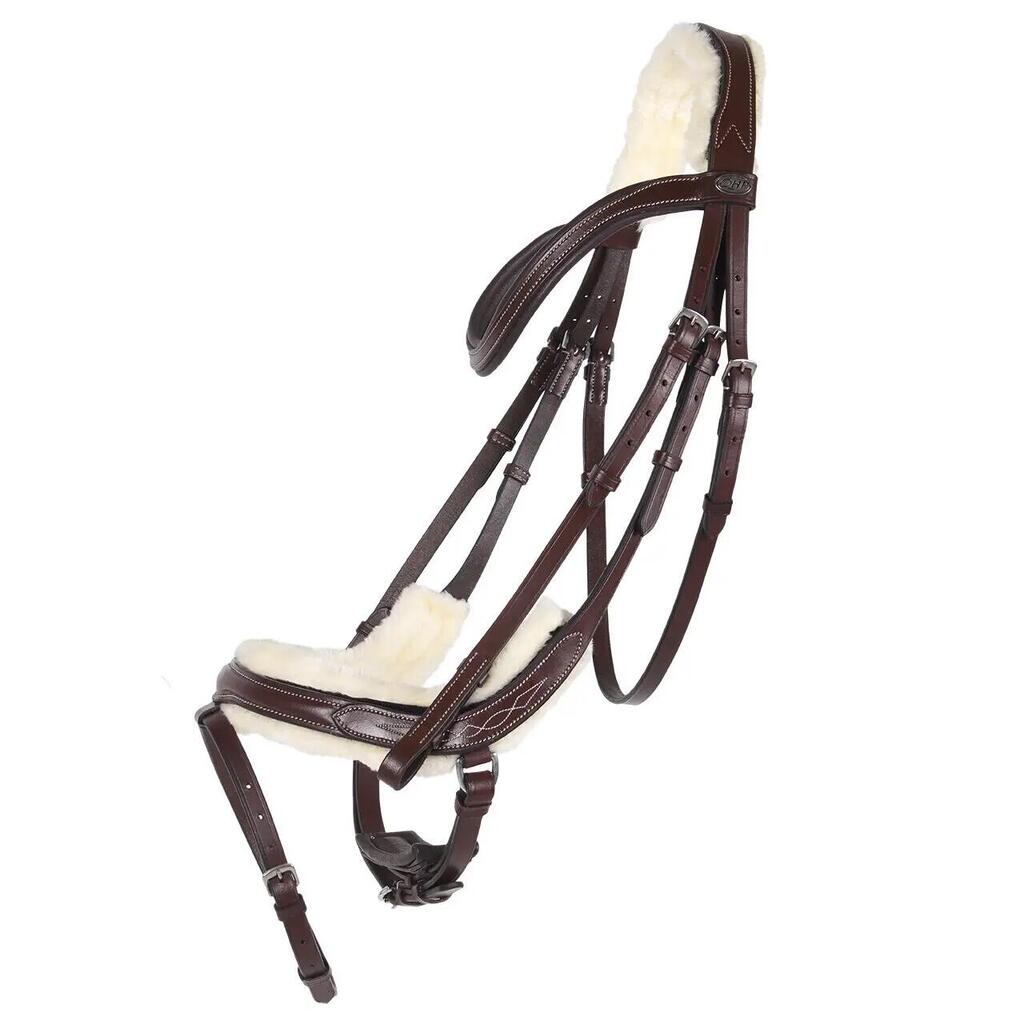 Riding bridle QHP Ontario