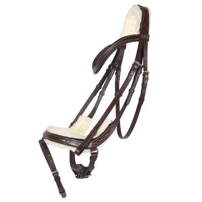 Rijhoofdstel qhp ontario