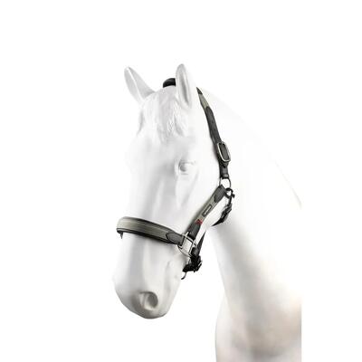 Leren halster voor paarden b vertigo lennox