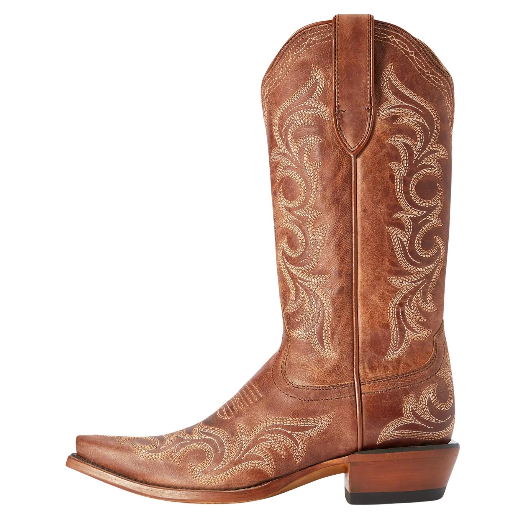 ARIAT picture