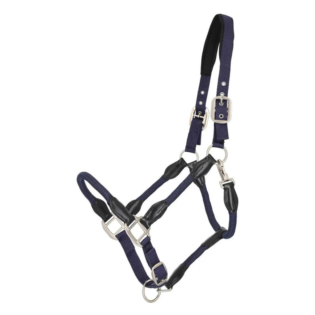 Halter for horse QHP Lero