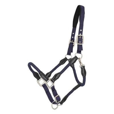 Halster voor paarden qhp lero