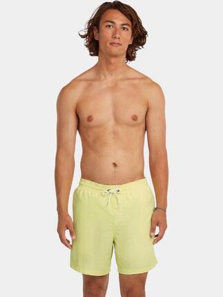 Maillot De Bain Homme Vert 16''