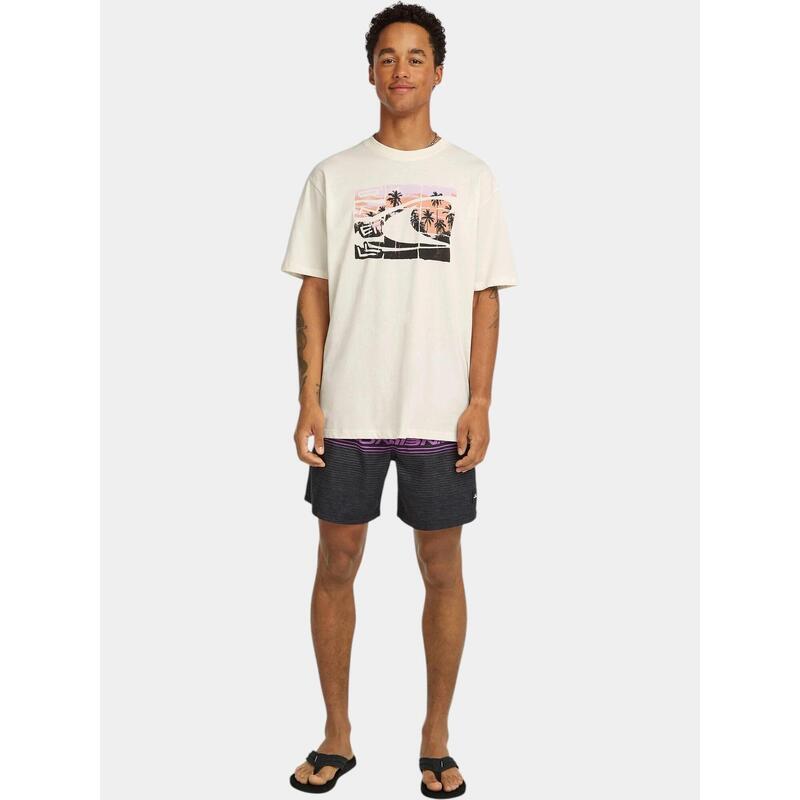 Sorturi de baie pentru barbati O'Neill Logo Stripe 16'' Swimshorts barbati