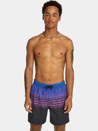 Maillot De Bain Homme Logo Stripe 16''