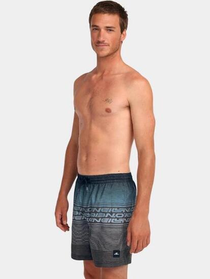 Maillot De Bain Homme Logo Stripe 16''