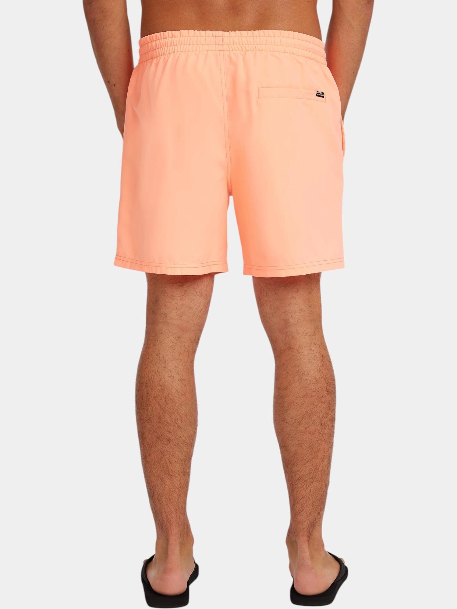 Maillot De Bain Homme Logo 16'' 2/7