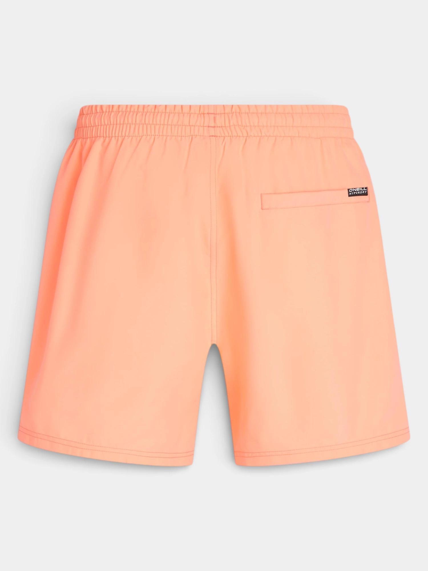 Maillot De Bain Homme Logo 16'' 6/7