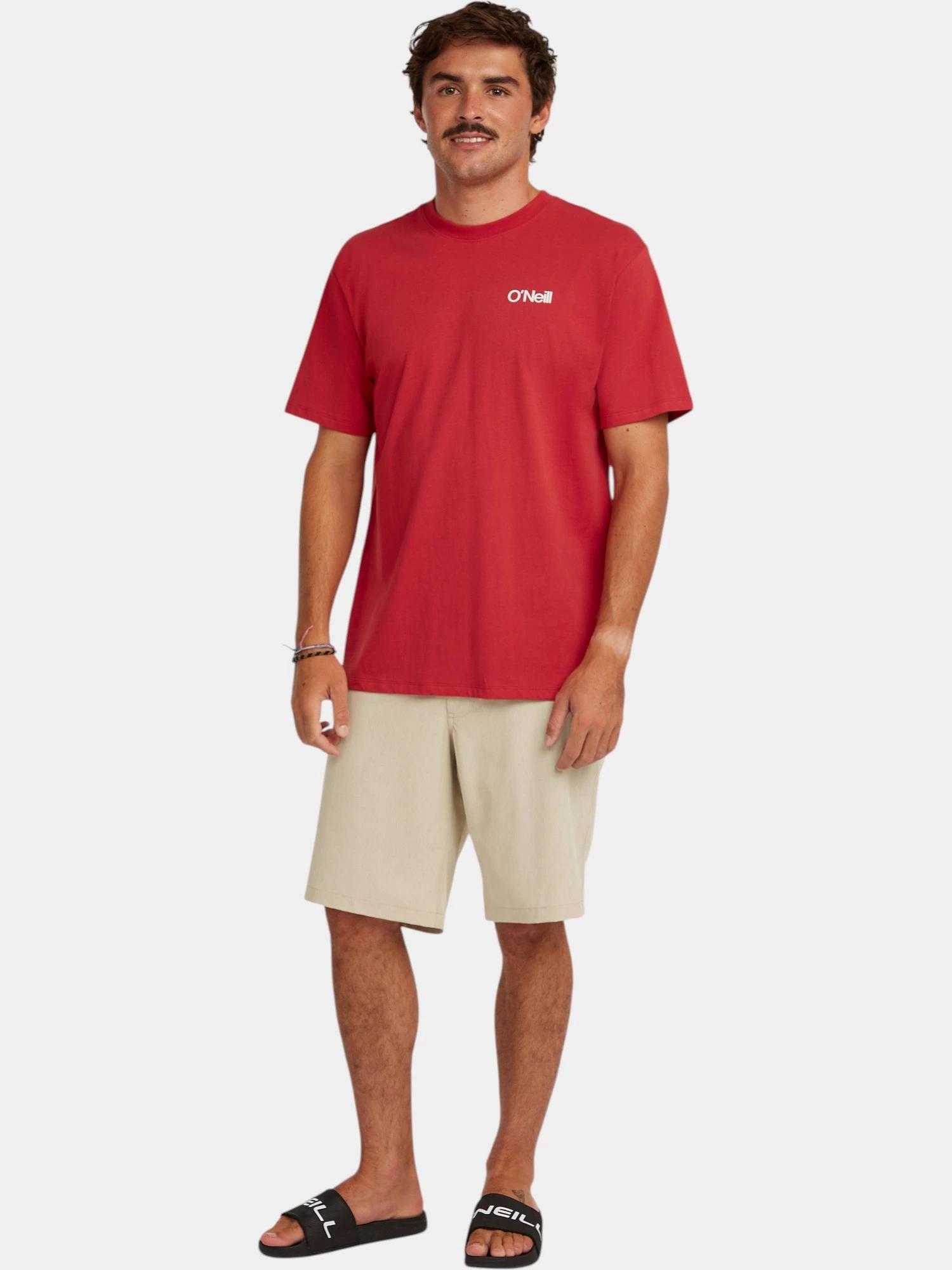Shorts Homme O’Neill Hybrid 19” Melange 3/7