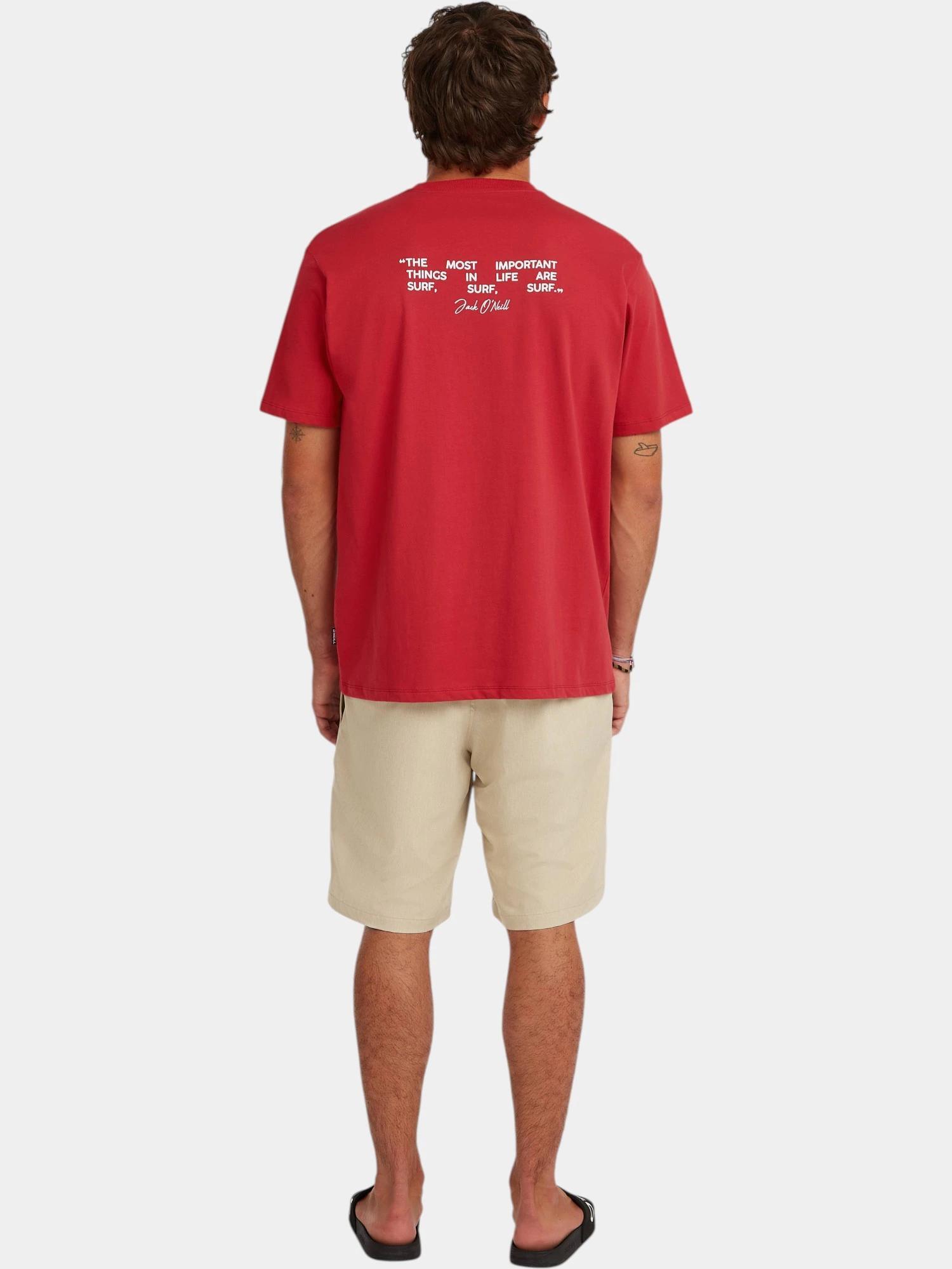 Shorts Homme O’Neill Hybrid 19” Melange 4/7