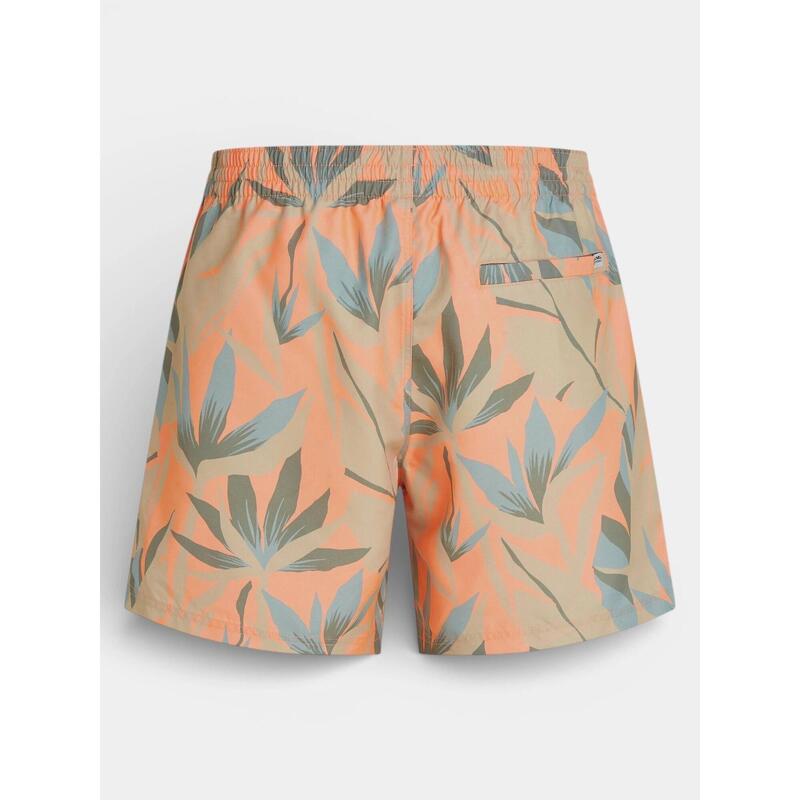 Sorturi de baie pentru barbati O'Neill Print 16'' Swimshorts barbati