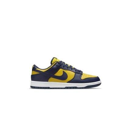 Chaussures universel enfants Nike Dunk Low