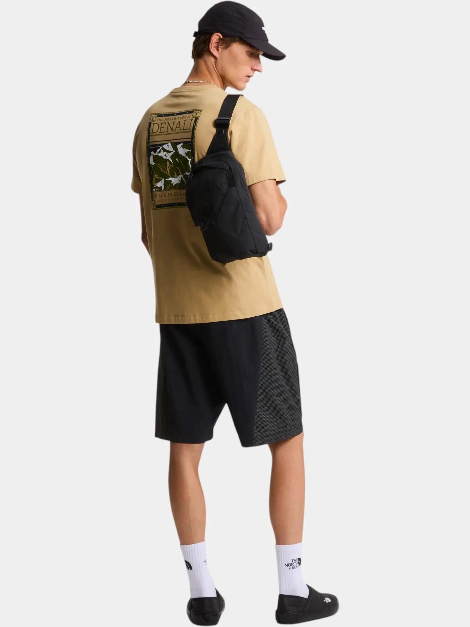 T-shirt The north face modelo M NORTH FACES REG SS TEE-GRAPHIC KHAK para unissex 4/7