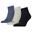 Socquettes QUARTER Adulte (Bleu marine / Noir / Gris clair)