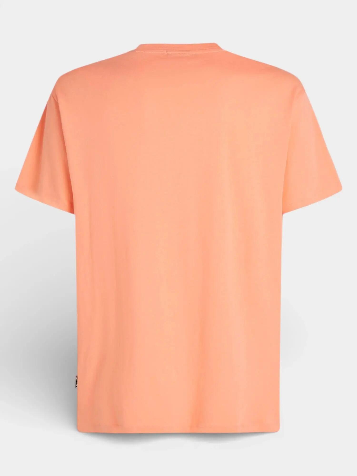 Férfi rövid ujjú póló O'Neill Muir T-Shirt 6/7