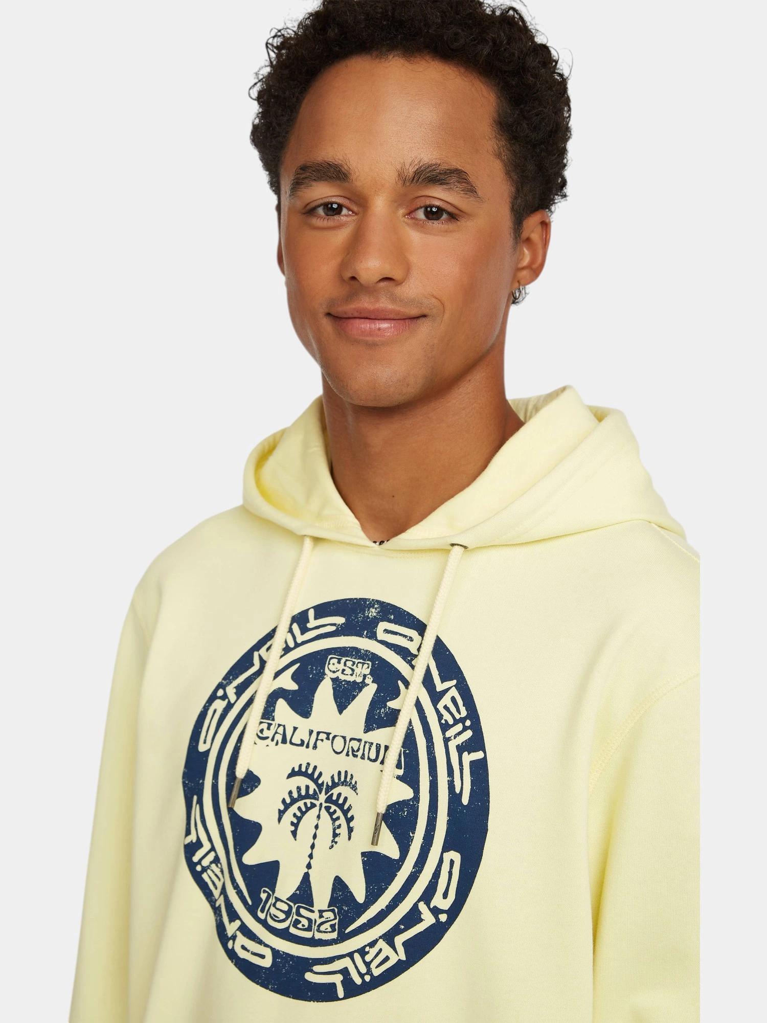 Hoodie Homme Musthave Graphic 5/7