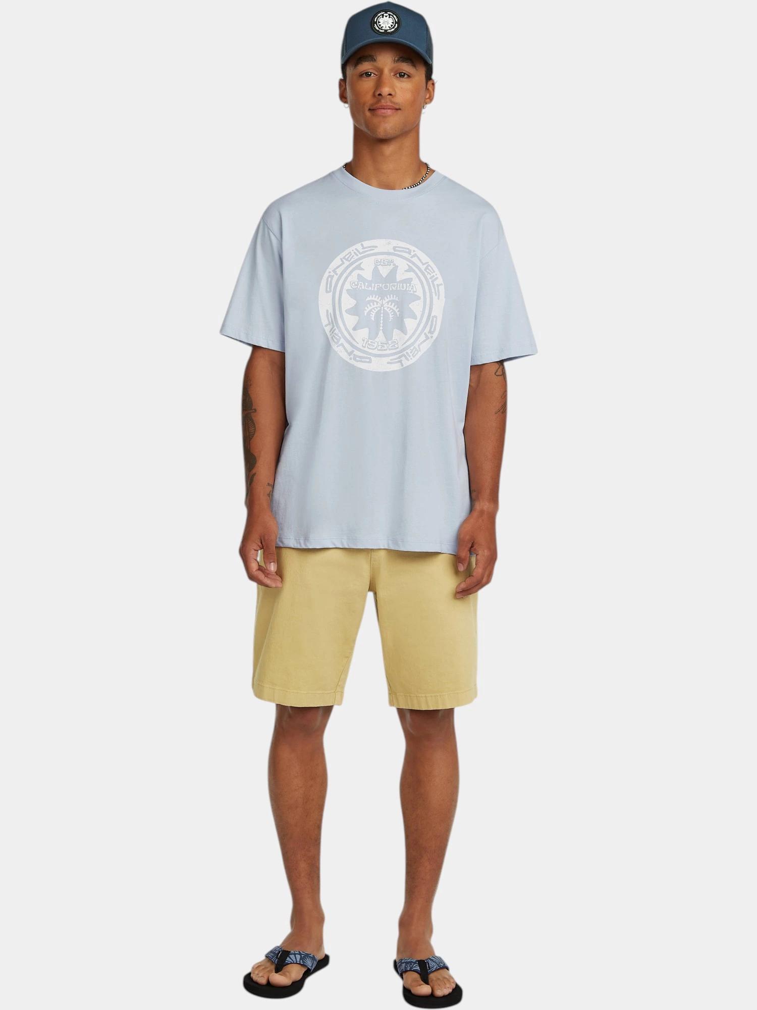 Férfi rövid ujjú póló O'Neill Musthave Graphic T-Shirt 3/7