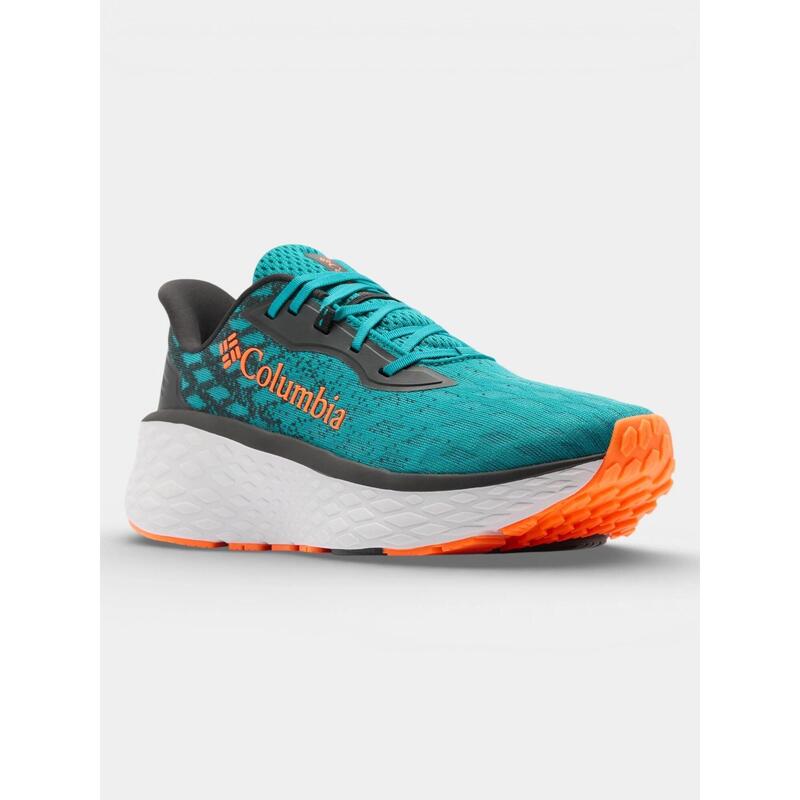 dccbf372-2aea-416f-b185-75b4fa8c6b5d_c5c1