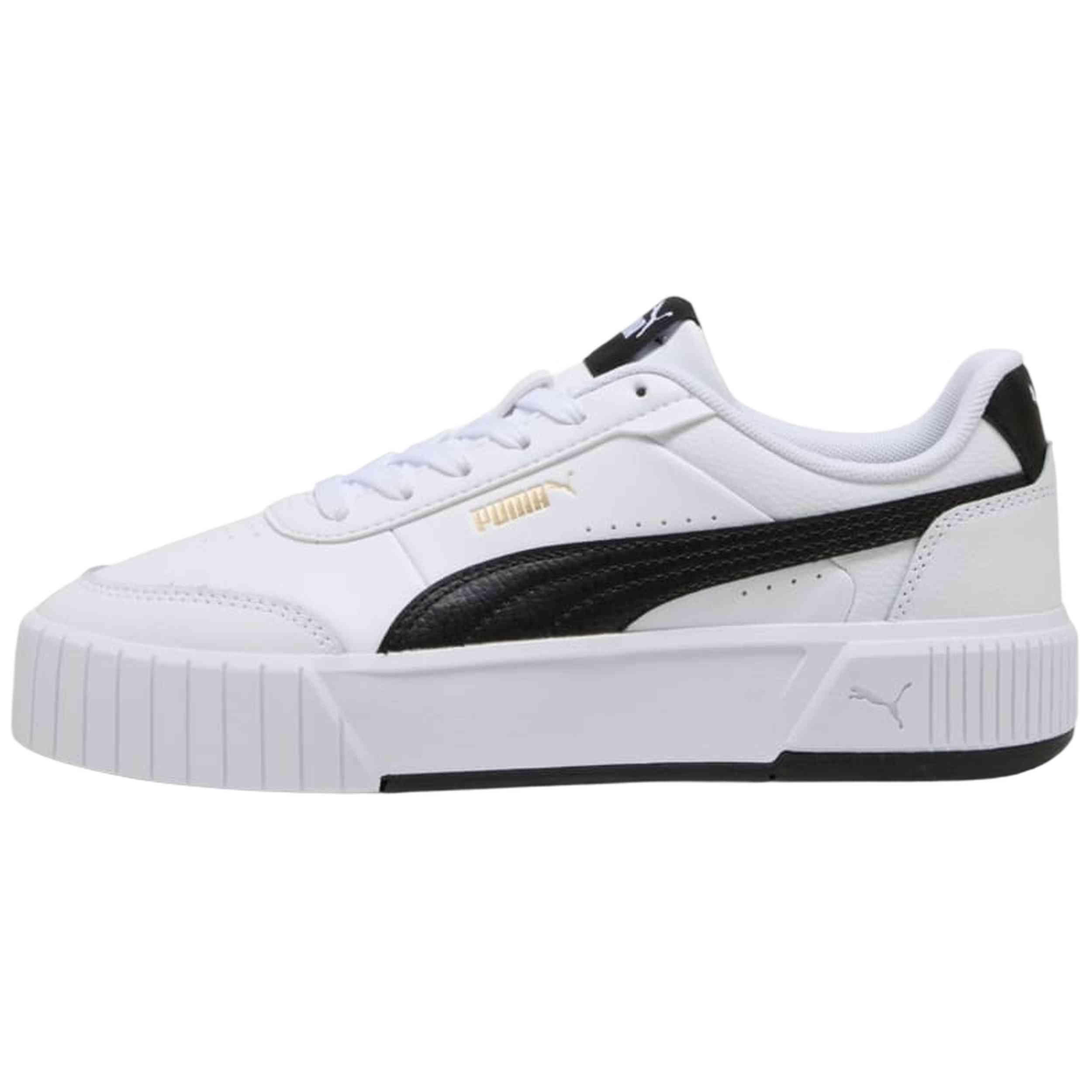 PUMA picture