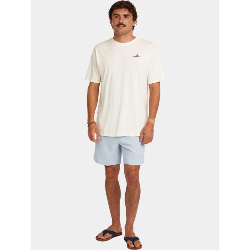 Sorturi de baie pentru barbati O'Neill Logo 16'' Swimshorts barbati