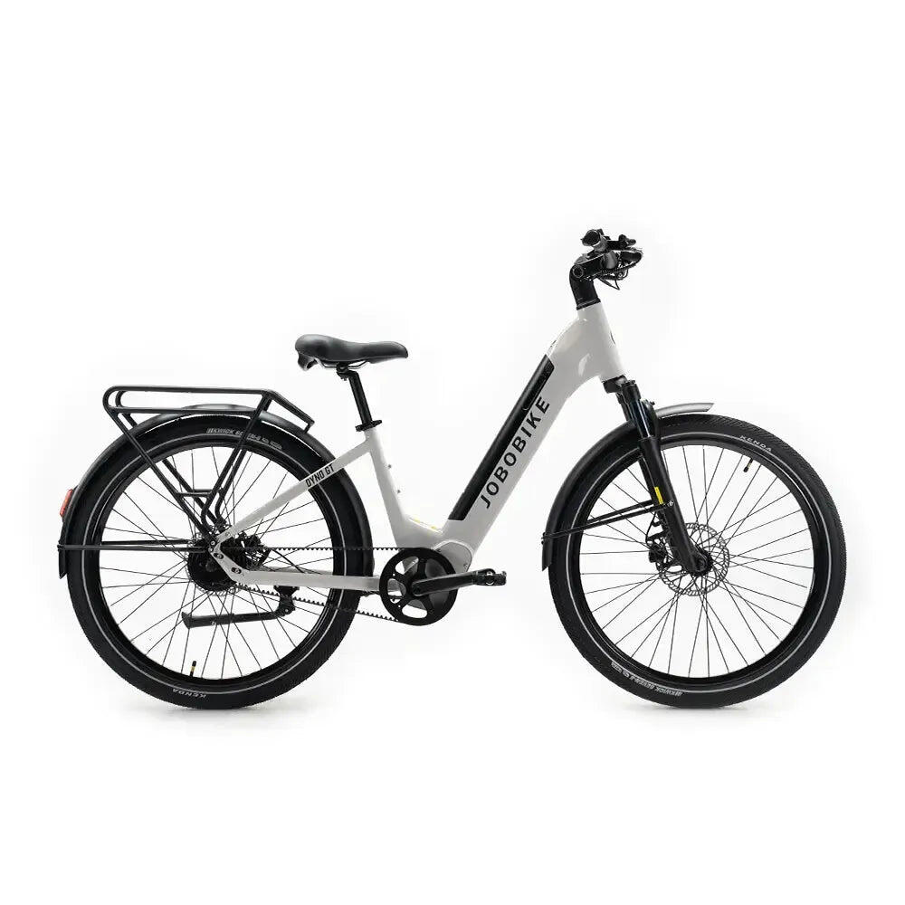 JOBOBIKE picture