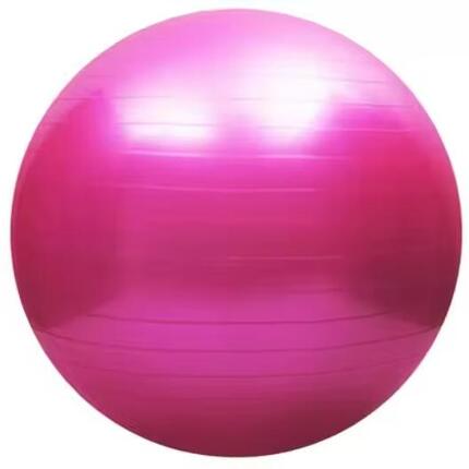 Gymnastikball 65 cm X-Sport - rosa