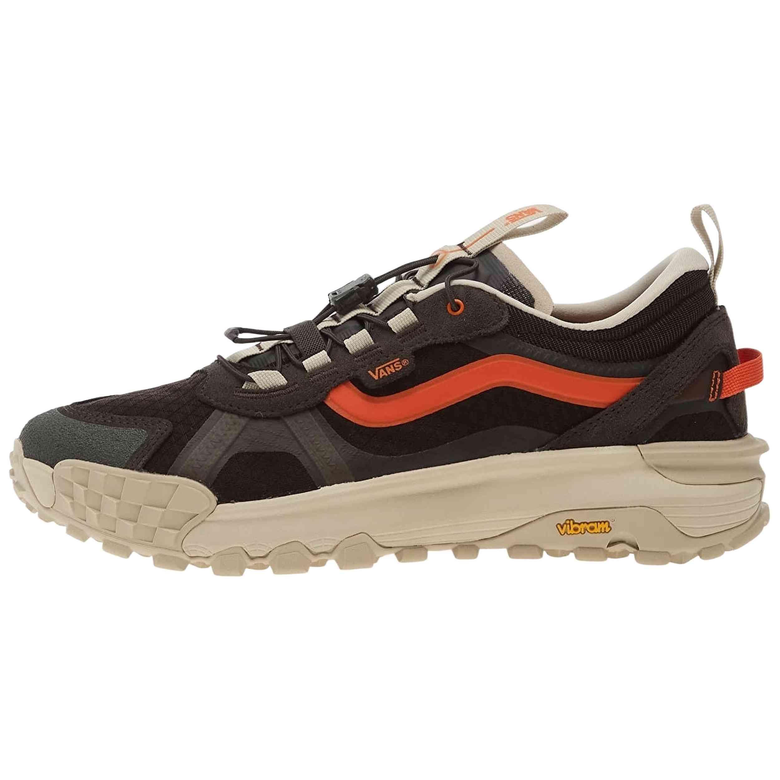VANS picture