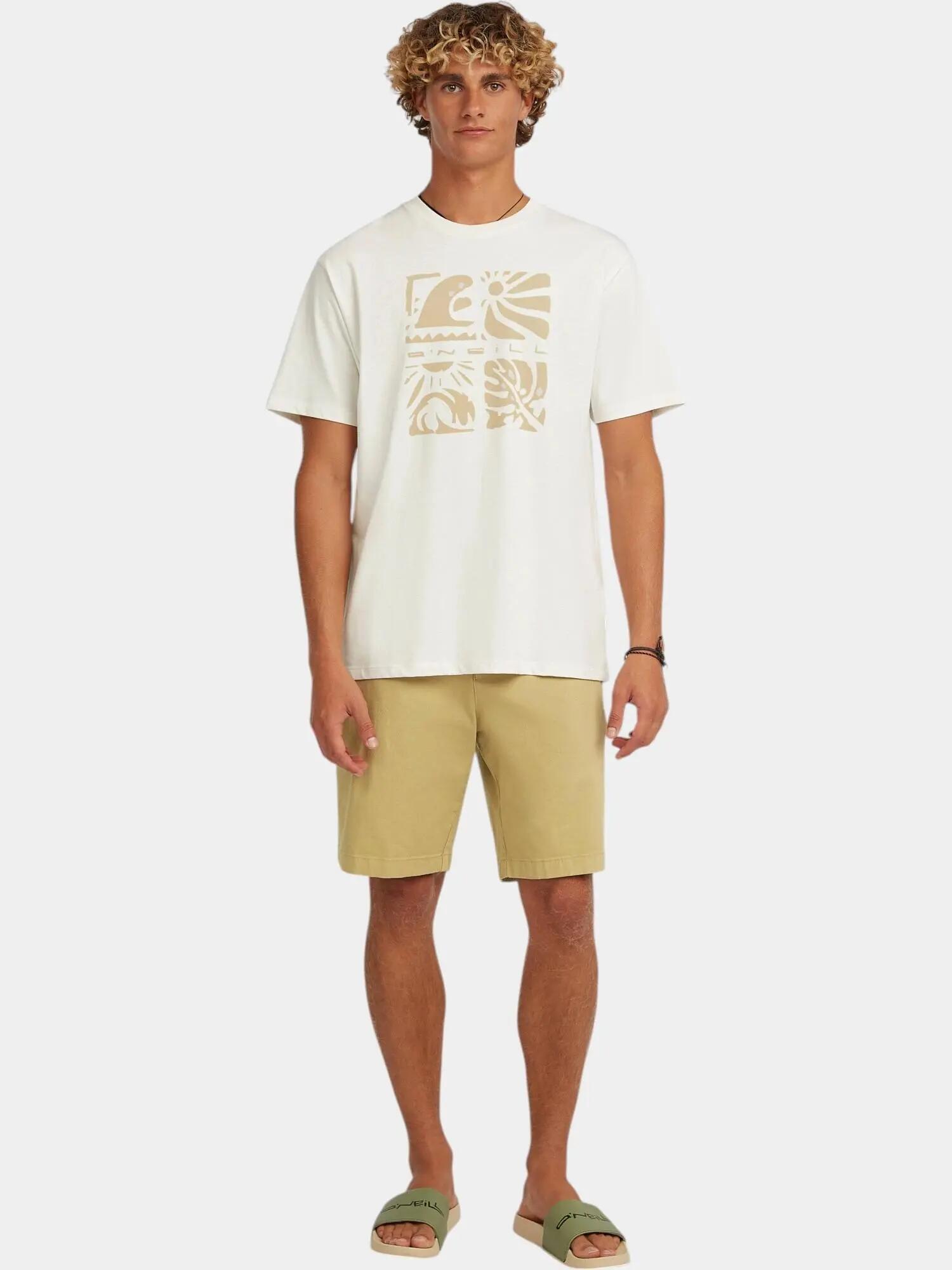 Férfi rövid ujjú póló O'Neill Melange Front Print T-Shirt 3/7