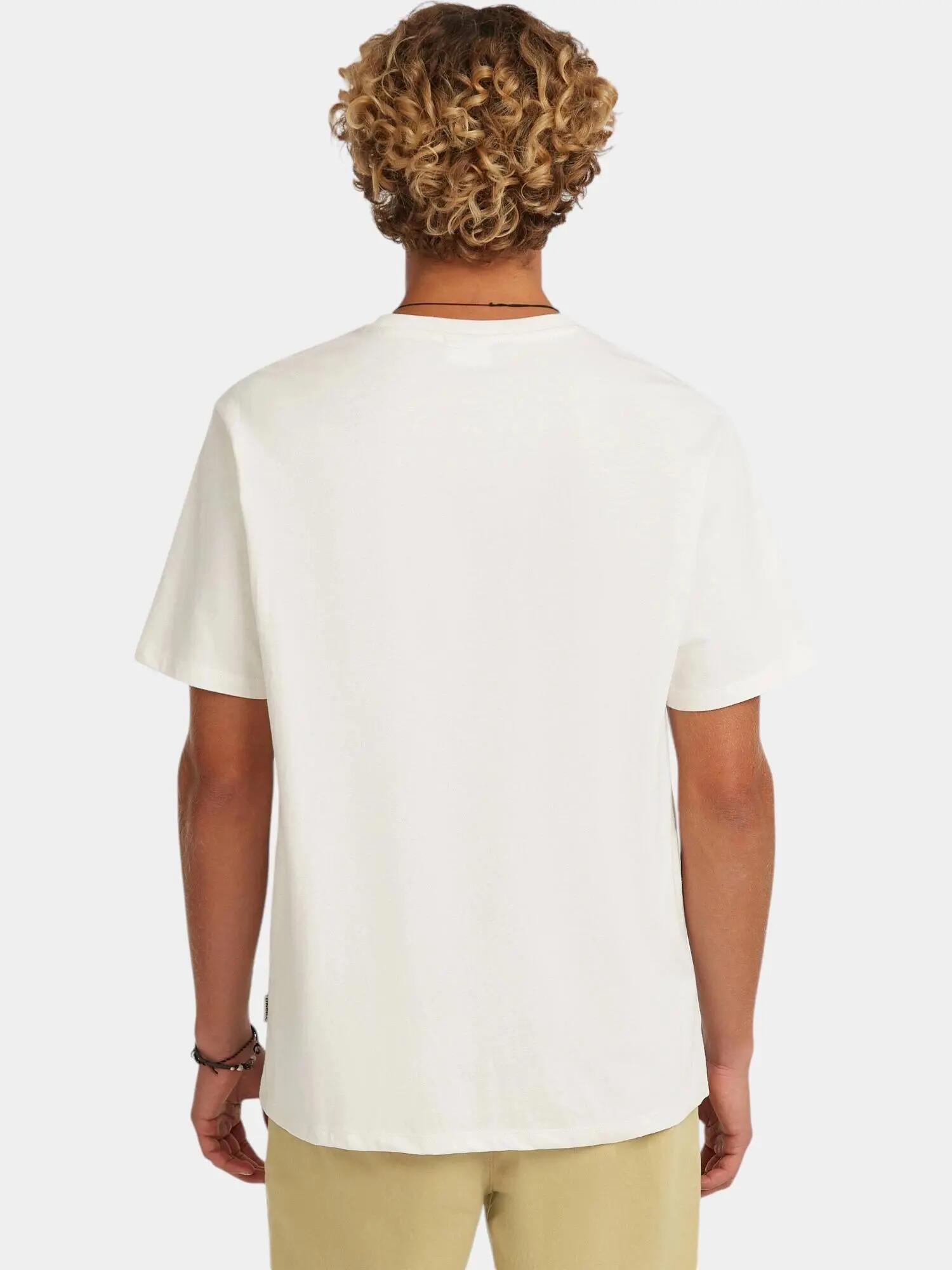 Férfi rövid ujjú póló O'Neill Melange Front Print T-Shirt 2/7