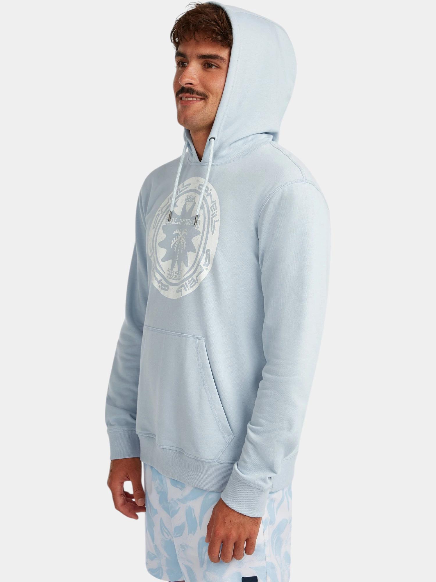Hoodie Homme Musthave Graphic 3/7