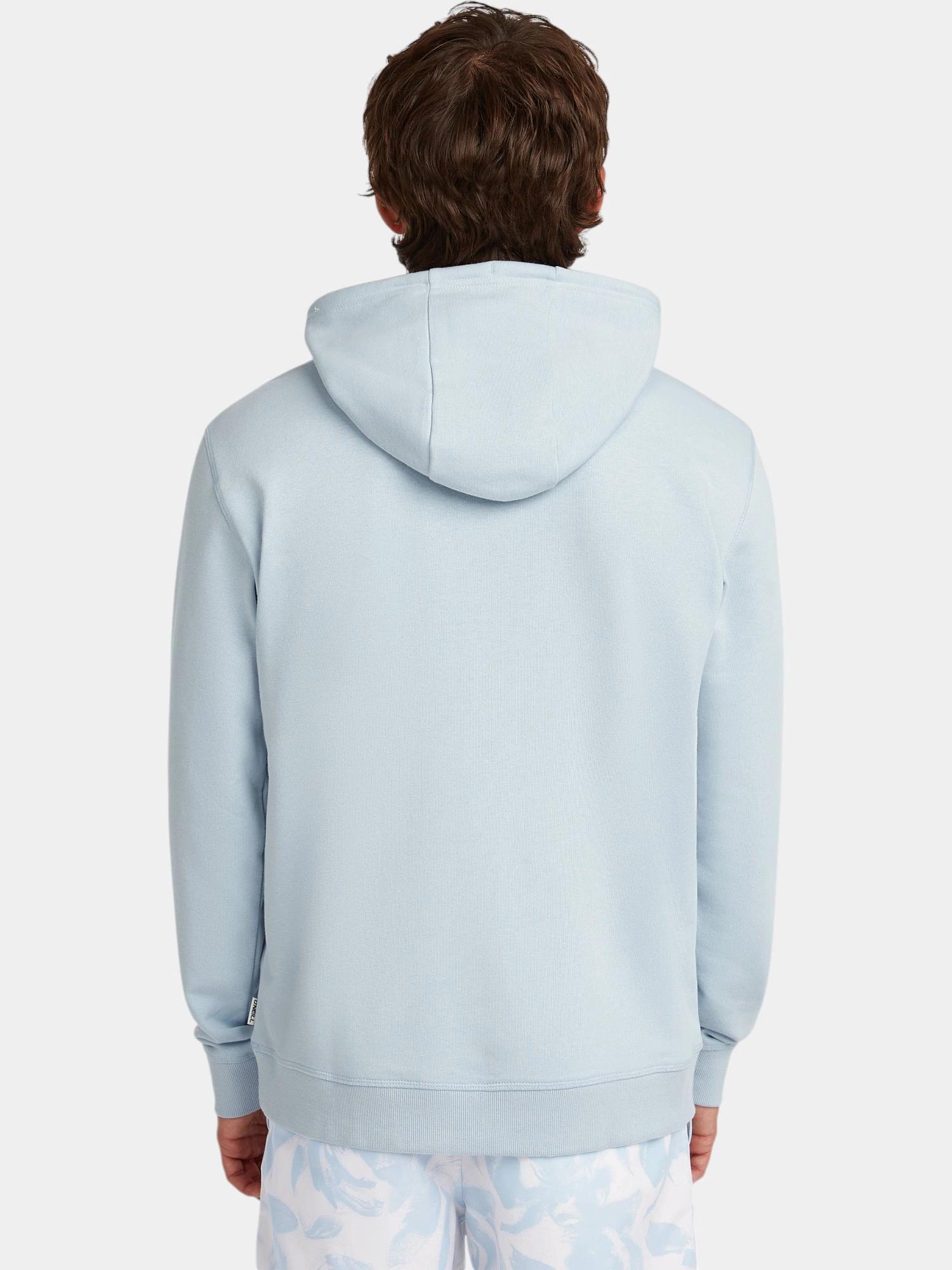 Hoodie Homme Musthave Graphic 2/7