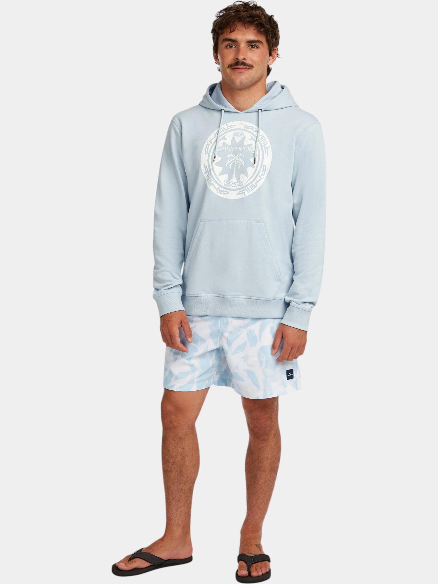 Hoodie Homme Musthave Graphic 4/7