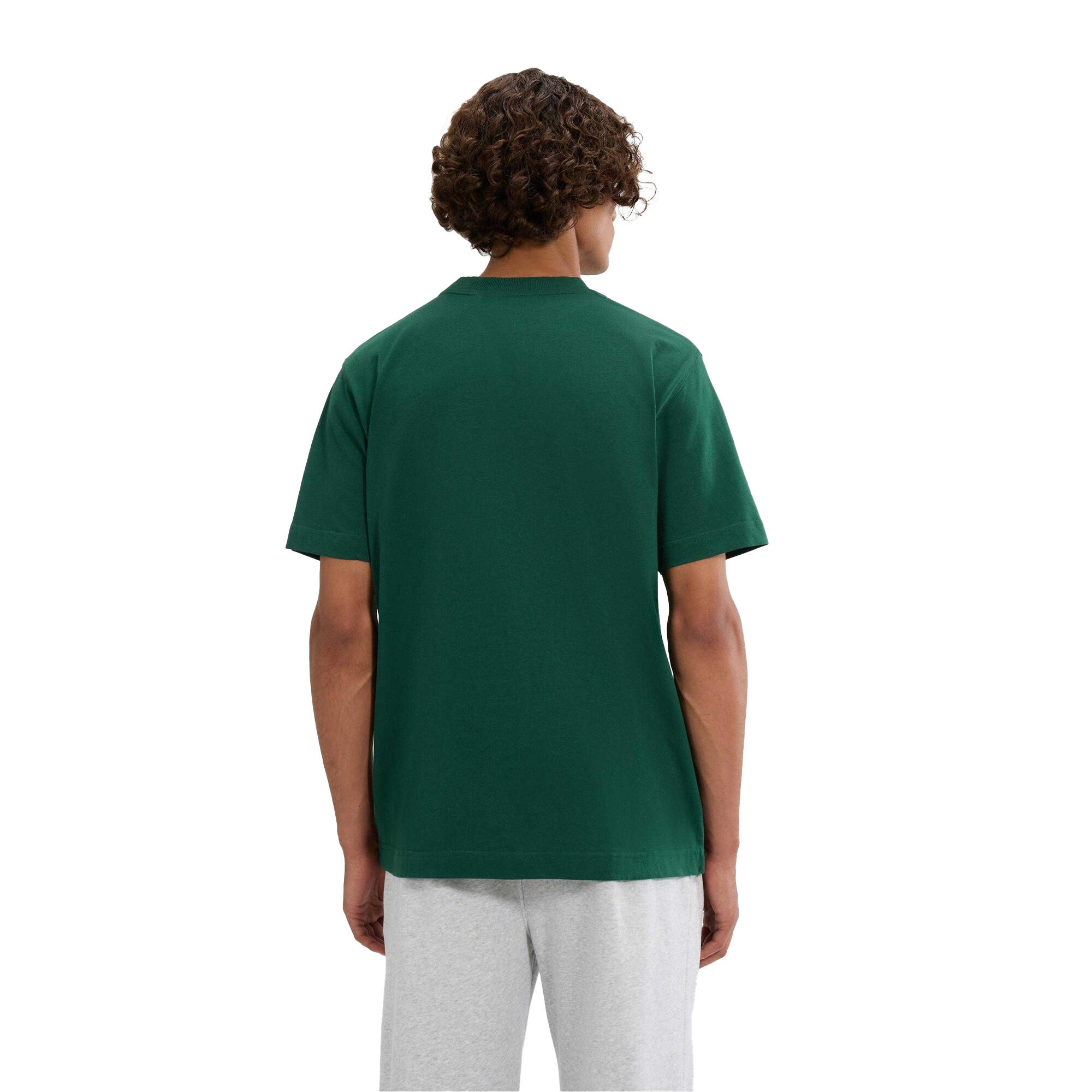 Tshirt ACCIANO Homme (Vert Foncé) 2/4