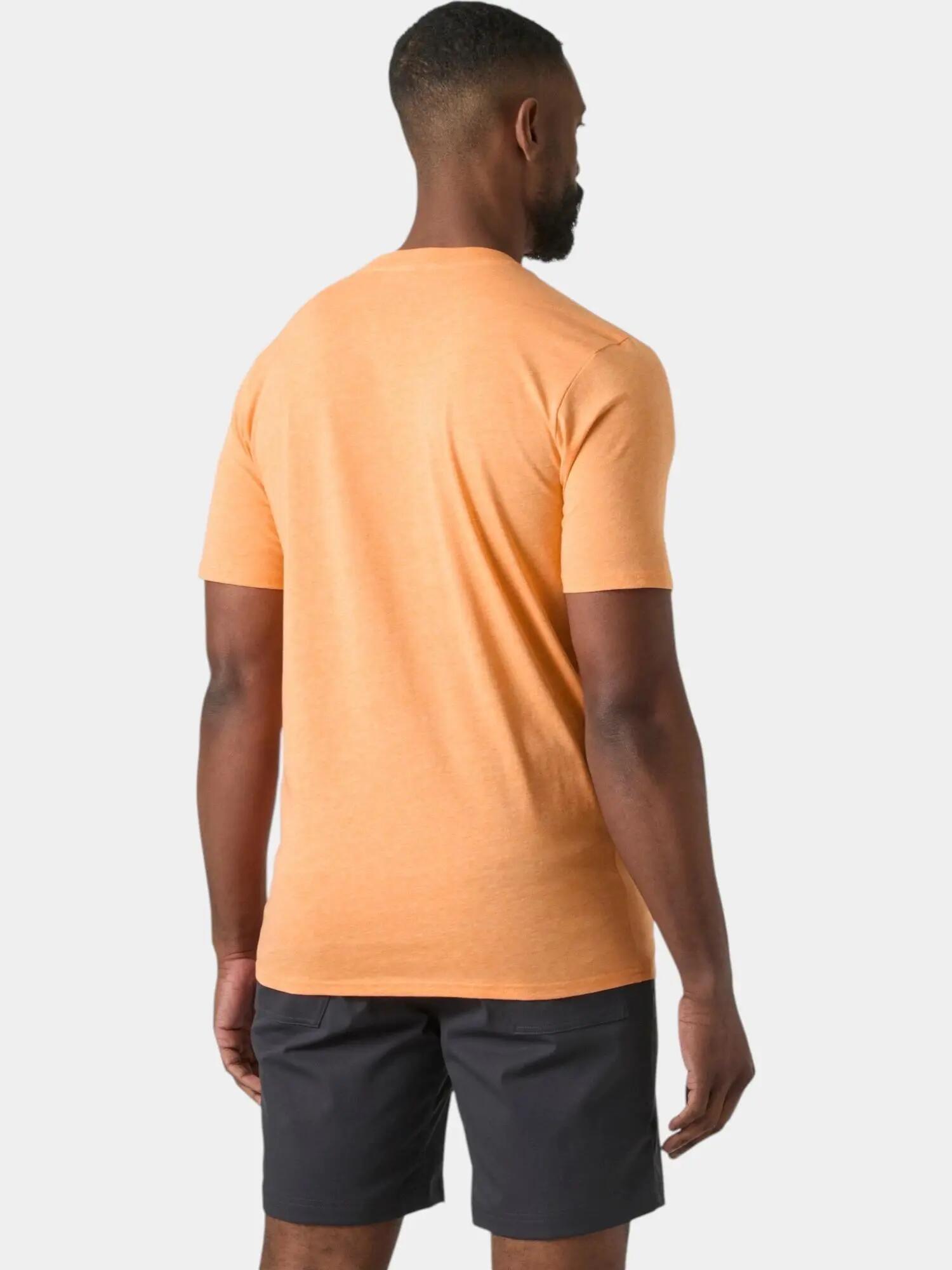 Camiseta Helly Hansen Logo 2/6