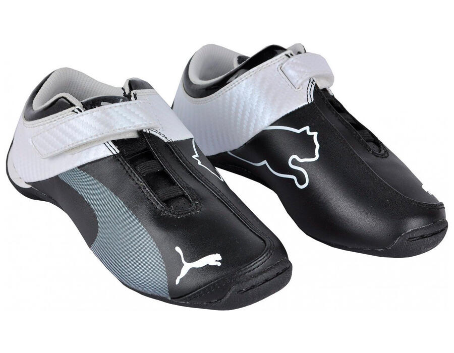 PUMA picture