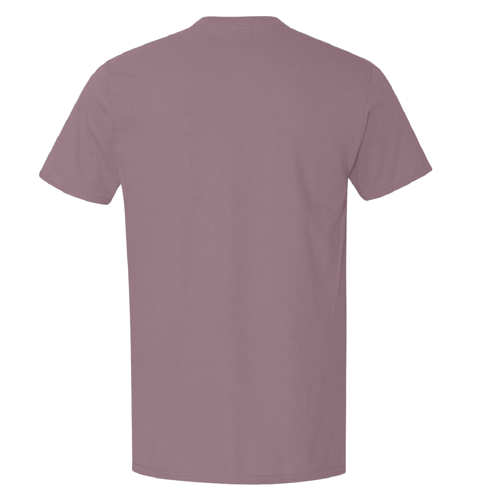 Maglietta 100% Cotone Uomo Gildan Softstyle Paragone 3/3