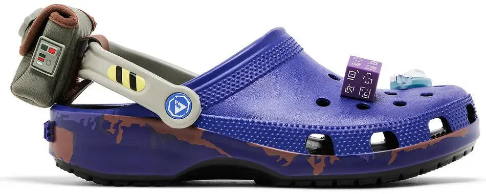 CROCS picture