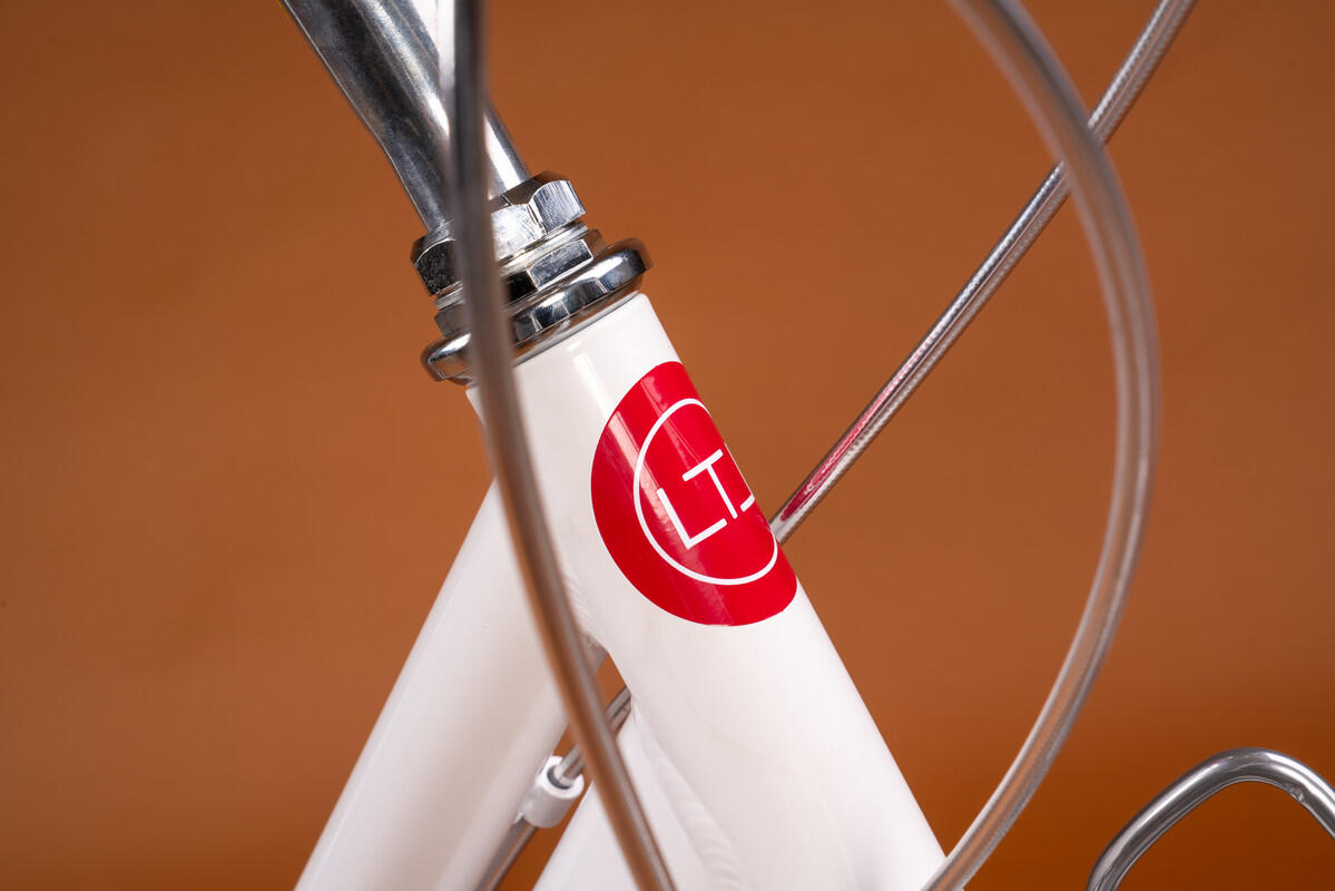 Cityfahrrad 28 Zoll LETOULE "LaFolie" Lady, Neve 5/7