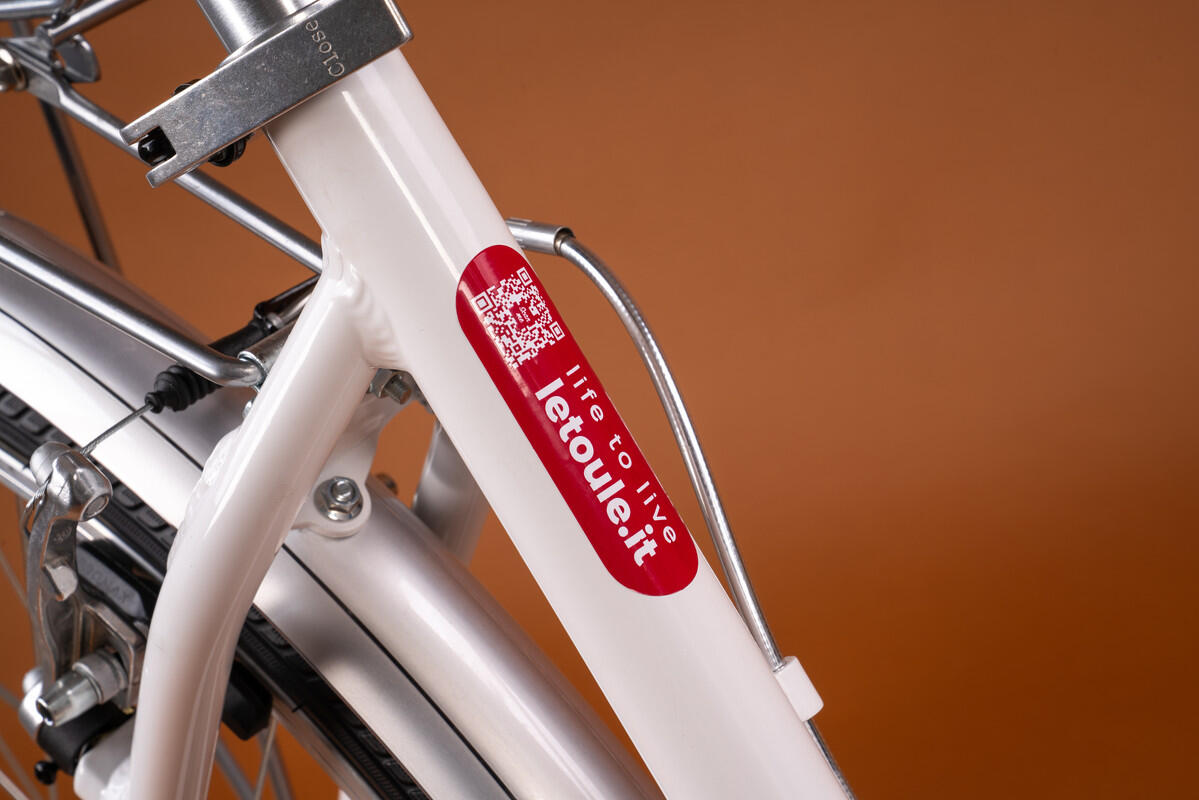 Cityfahrrad 28 Zoll LETOULE "LaFolie" Lady, Neve 4/7