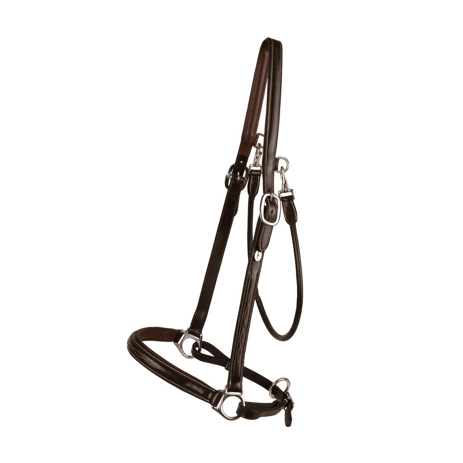 KENTUCKY HORSEWEAR picture
